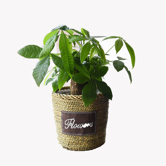 Nordic straw flower pots, rattan flower baskets, pothos creative woven bamboo baskets, woven baskets, simple decoration