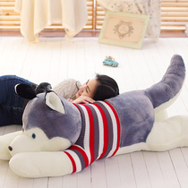 Husky plush toy big dog Bear Doll Doll Doll big sleeping pillow birthday gift for girlfriend