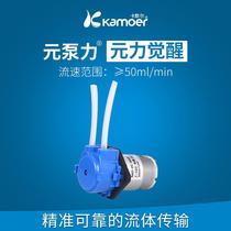 Leirong laboratory micro peristaltic pump 12V mini circulation pump 24V titration pump small water suction pump methanol pump