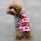 Quần áo mới cho thú cưng cún con chó quần áo mùa đông cộng với nhung Teddy bốn chân quần cotton áo len dài - Quần áo & phụ kiện thú cưng