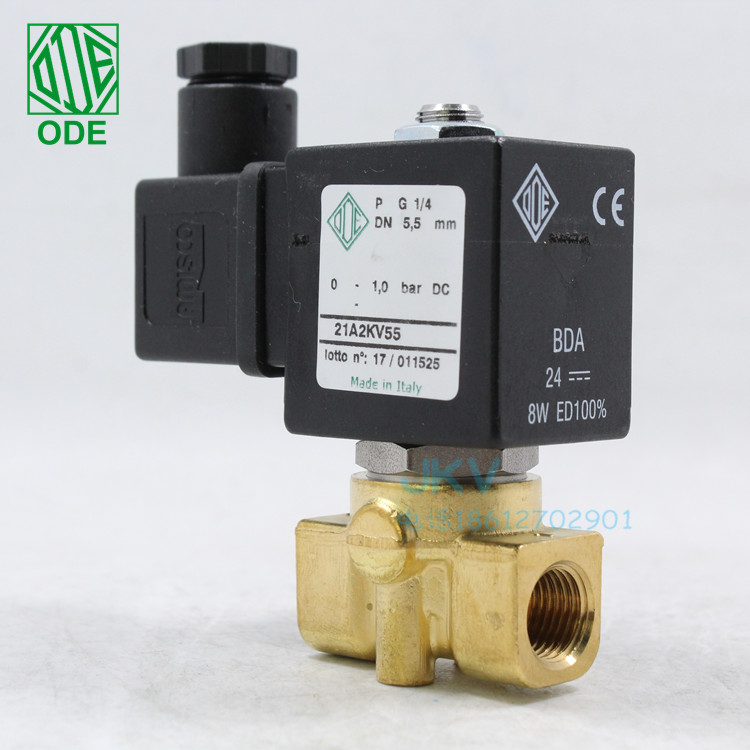 Italian mode import solenoid valve 21a2kv55 brass wire buckle two usually closed 220v 24v spot dn8