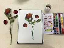 Framed paper drawing board watercolor professional level framed paper New ploy watercolor tool