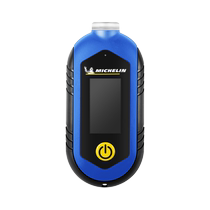 (Member Live) MICHELIN Tire Pressure Gauge M2209