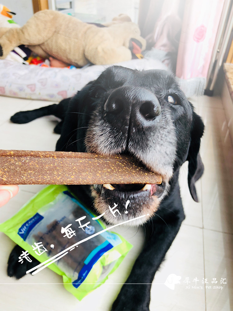 French Vic CET Yikou Clean Tooth Sheet Pet Grinders pooch Dentin Tooth bites gum snacks Oral cleaning