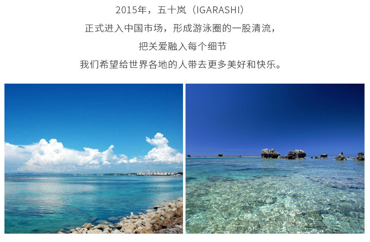 FRT-161V-ANTI-REAL UNICORN RANK_03.JPG