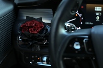 Au début du XVIe siècle) Lannée où vous êtes sur le chemin) Les roses de la fleur de Yongsheng) La prise dair de la voiture est décorée) Le cadeau