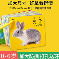 Toddler Tear-Up Awareness Cards View Illustrated Object Cards Childrens Digital Cards Baby Literacy Cards Animal Fruit Cards