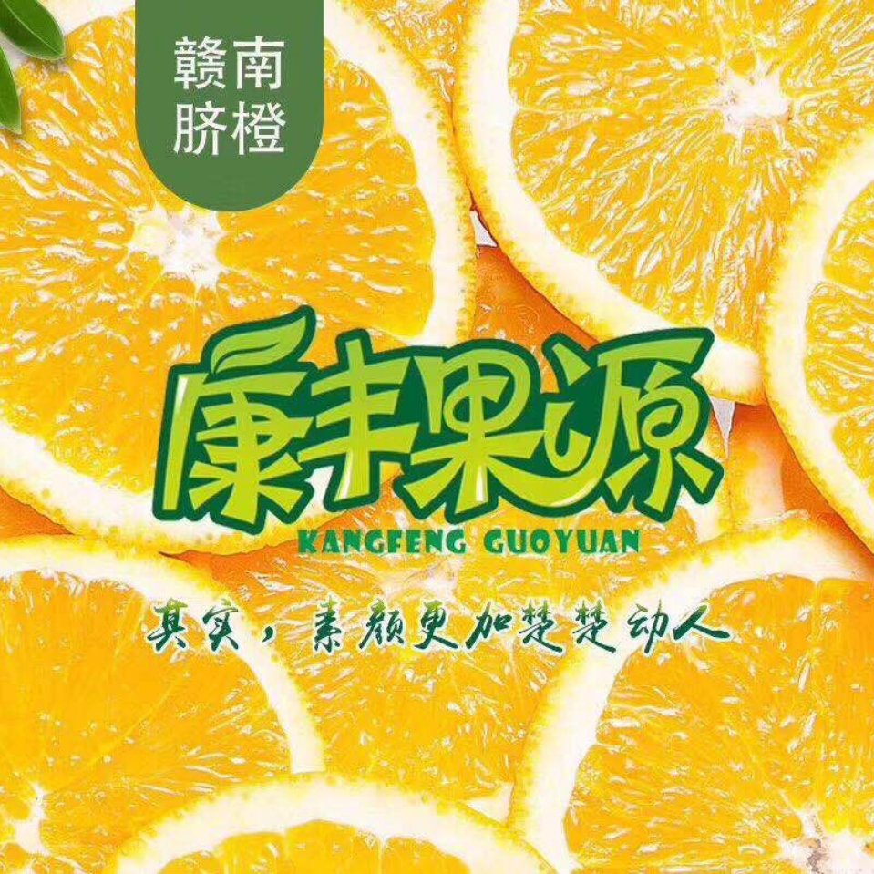 康丰果源 正宗赣南老俵脐橙的LOGO