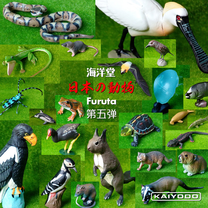 (Rare) Kaiyodo Furuta EGG animal gashapon model Japanese animal 5 fifth bomb variety