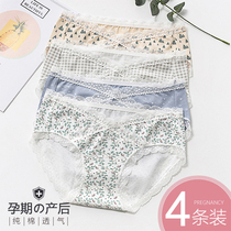 4 dress pregnant womens underwear pure cotton pregnant with no antibacterial maternal breathable low waist underpants gestation postpartum pant
