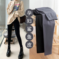 Pregnant Woman Beats Bottom Pants Spring Autumn Season New Elastic Outside Wearing No Scarring Shark Leather Long Pants Fashion 100 Hitch Pure Cotton Tobellied Pants