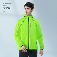 Флуоресцентный зеленый [вверху]