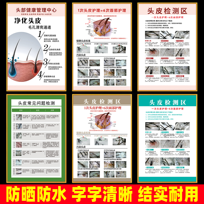 Scalp Testing Comparison Chart Poster, Testing Chart, Hair Treatment Picture, Promotional Poster, Analysis Chart, Hair Follicle Comparison Chart, Comparison Table Scalp Testing Comparison Chart Poster, Testing Chart, Hair Treatment Picture, Promotional Poster, Analysis Chart, Hair Follicle Comparison Chart, Comparison Table