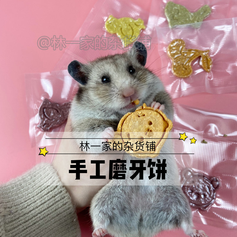 仓鼠粮食伴粮仓鼠零食维特魔轮素什锦花枝鼠金丝熊配粮主食食物 仓鼠粮食伴粮仓鼠零食维特魔轮素什锦花枝鼠金丝熊配粮主食食物