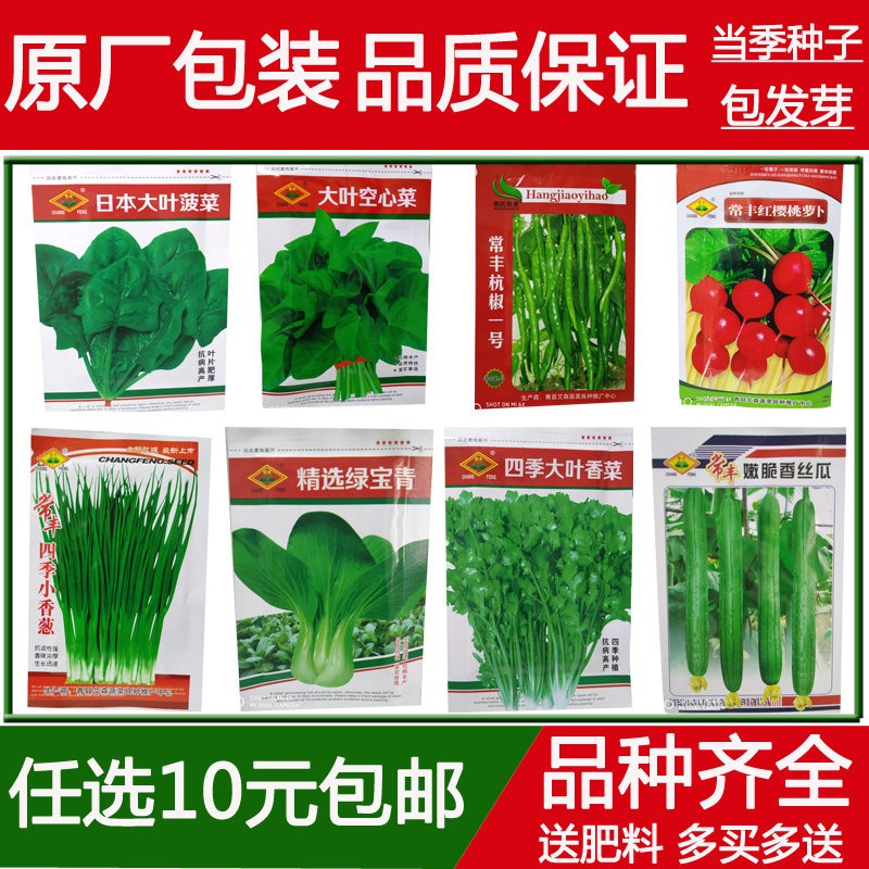 Vegetable Seeds All Season Podcast Balcony Patio Courtyard Potted Chili Tomato Pumpkin Cucumber Leeks Cilantro strawberry seed lettule