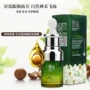 Fruit Nuts Firming Eye Serum to Dark Circle Eye Bag Fine Line Nữ sinh viên Chăm sóc mắt Kem dưỡng ẩm kem trị thâm mắt lâu năm