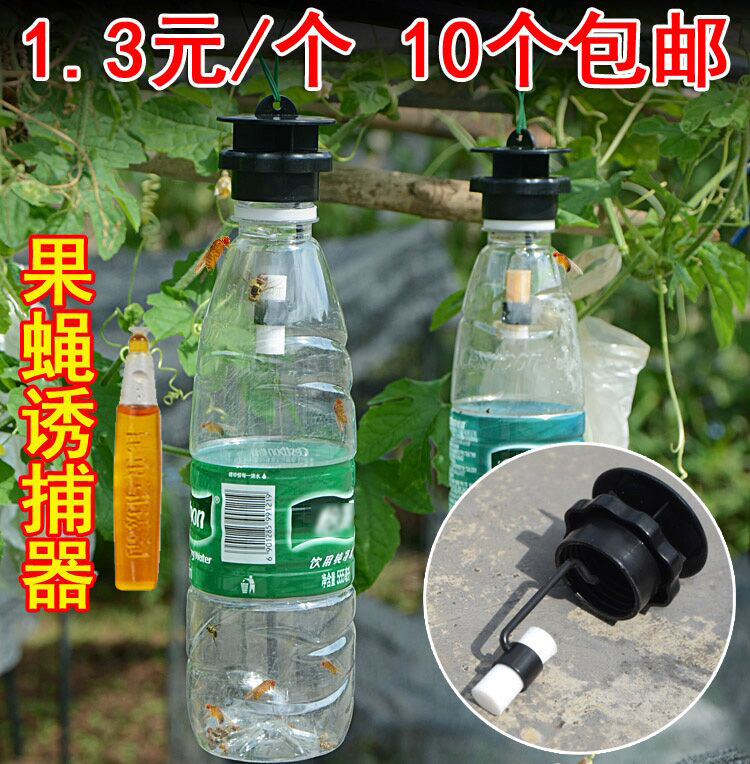 Fruit fly trap fruit fly catch container melons, fruits, vegetables, flowers, insect-proof, insect-repellent, insect-repellent, potion, needle bee