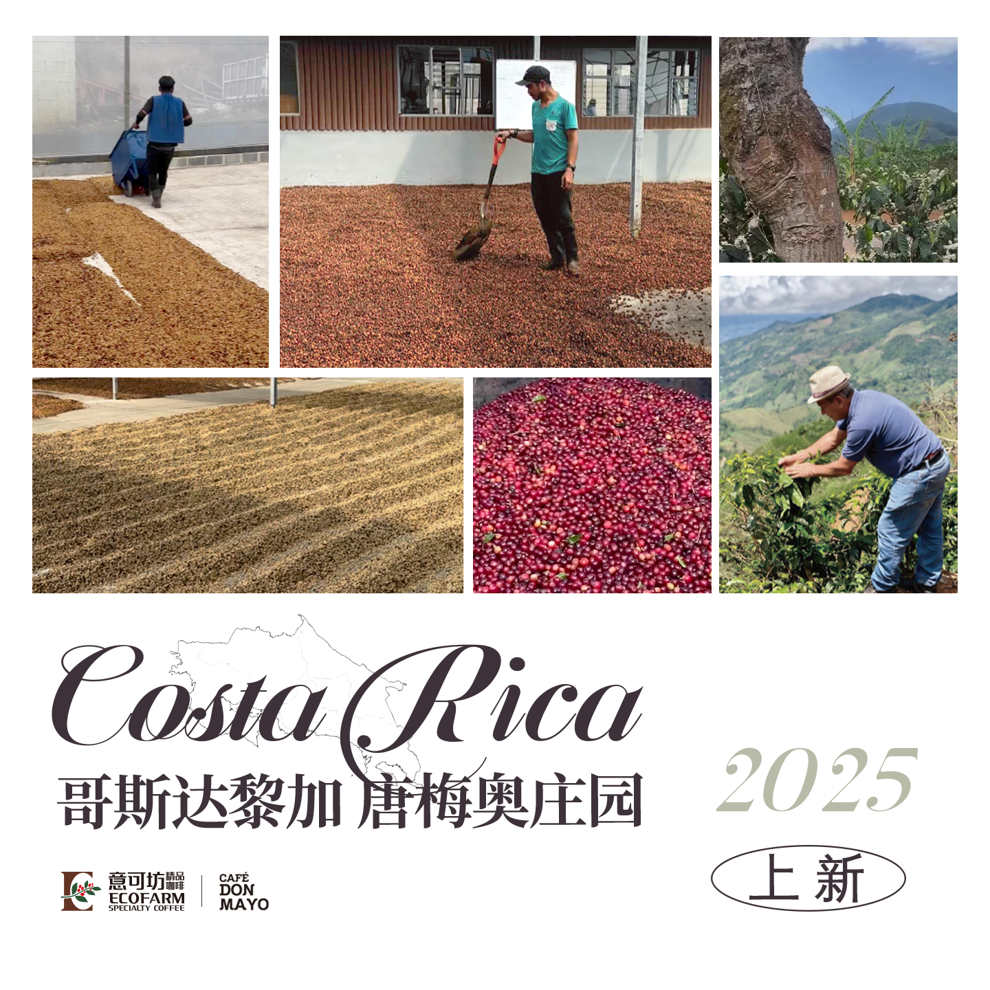 哥斯达黎加跟团游到底值不值得？2025年新规你必须知道