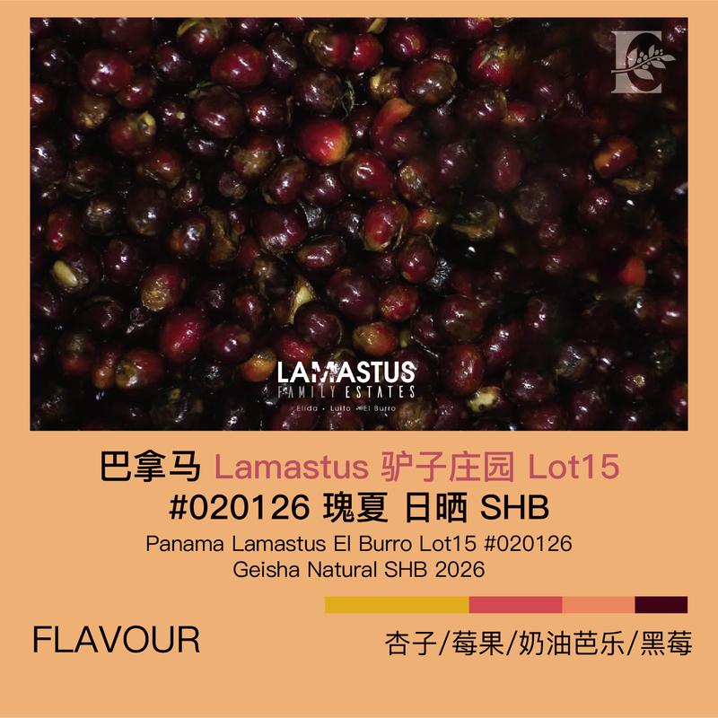 2026 Panama Lamastus Donkey Lot15 # 020126 Gesha Sun-Dried Shb Coffee Green Beans