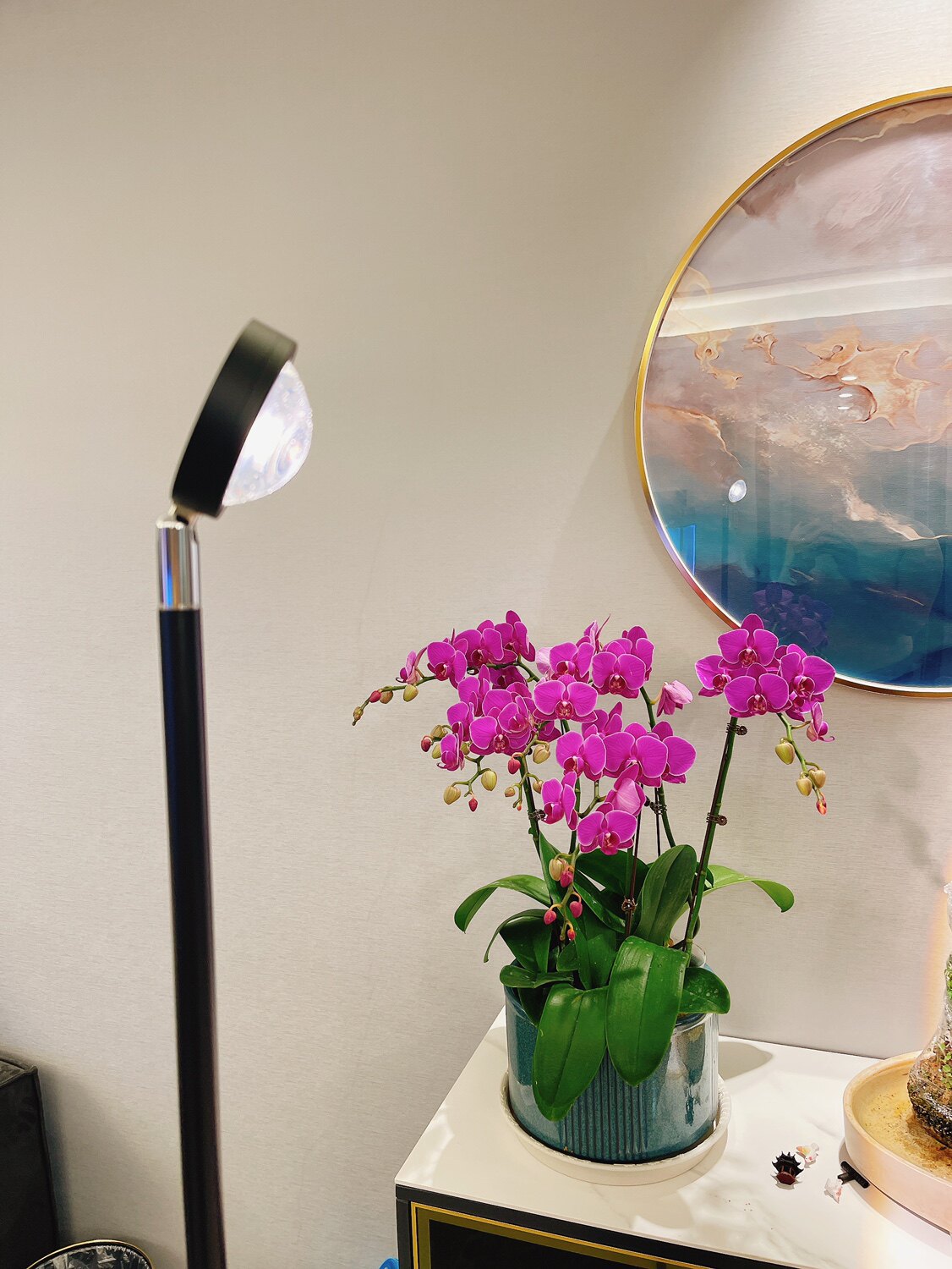 植物专用补光灯店