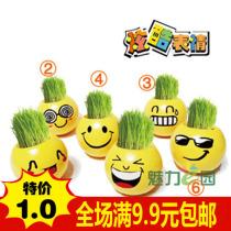 Cool expression creative mini plant desktop potted long grass doll Small green plant grass head doll creative potted plant