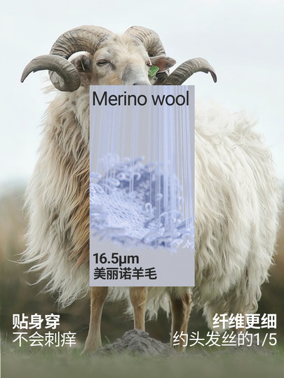 Nanend Nanen [Ice Weave] Merino Wool Ski Quick-Dry Clothing for Men and Women, Outdoor Thermal Underwear for Winter