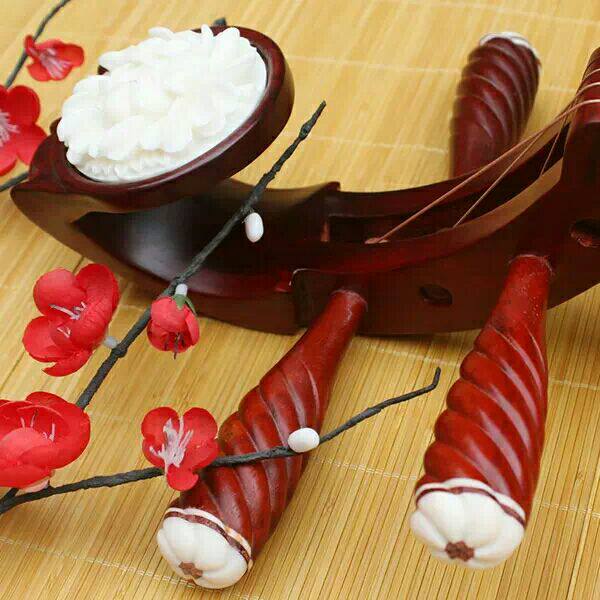 Adult pipa beginners entry-level practice-level pipa musical instrument college students special mahogany pipa to send nails