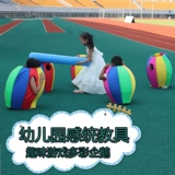 Красочное оборудование для развития сенсорики для тренировок для детского сада, дорожная игрушка, спортивный игровой реквизит, пингвин