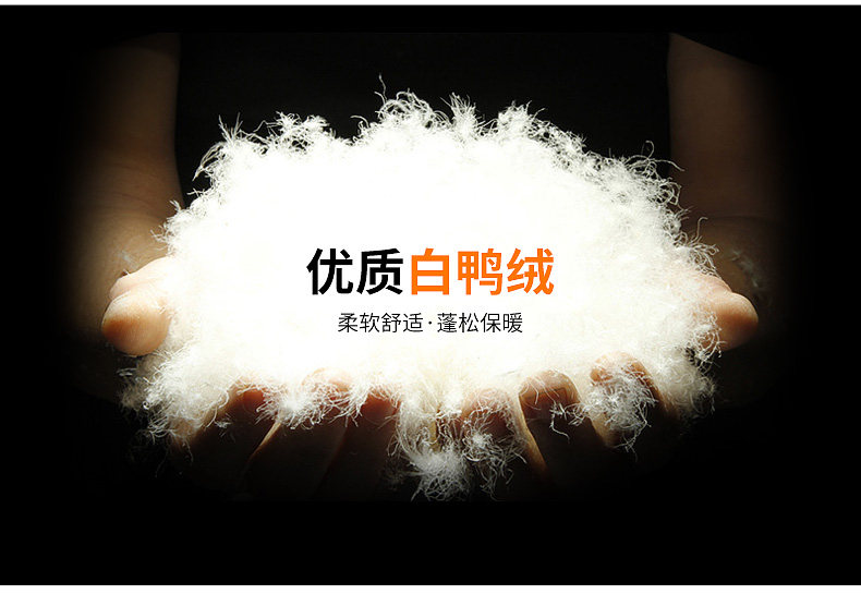 Blouson homme ABANLON    - Ref 3121699 Image 14