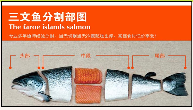 5 kg vận chuyển cá hồi tươi vụn cá hồi băm nhỏ chó mèo thức ăn ướt bán ướt thực phẩm làm đẹp tóc thực phẩm - Chó Staples cám chó