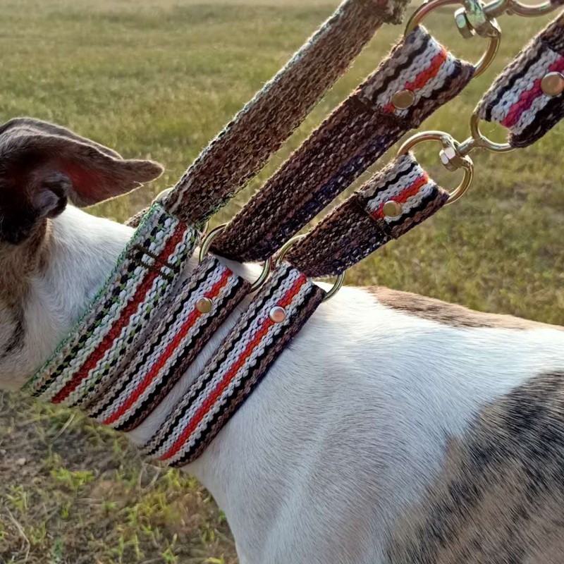 Bloodhound one straining to walk the dog Rope Hemp Rope Fine Dog Integrated Traction Rope Whirlpool the Whirlpool Dog large puppy is adjustable