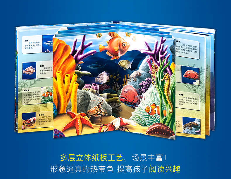 神奇大自然 海洋世界 3D立体翻翻书 图5