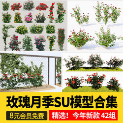 Su Model of Climbing Rose Plants, Tree-Shaped Lollipops, Wall Flower Racks, and Sketchup
