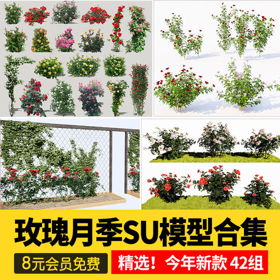 Su Model of Climbing Rose Plants, Tree-Shaped Lollipops, Wall Flower Racks, and Sketchup
