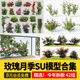 Su Model of Climbing Rose Plants, Tree-Shaped Lollipops, Wall Flower Racks, and Sketchup