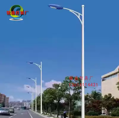 led220v Street Light 3 4 5 6 8 m Outdoor Waterproof New Countryside Light Pole Light Garden Light Road Street Light