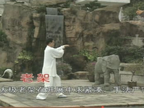 Yang Style Yang Style Tai Chi Traditional Old Frame 108 Li Zheng Three to Seven Steps