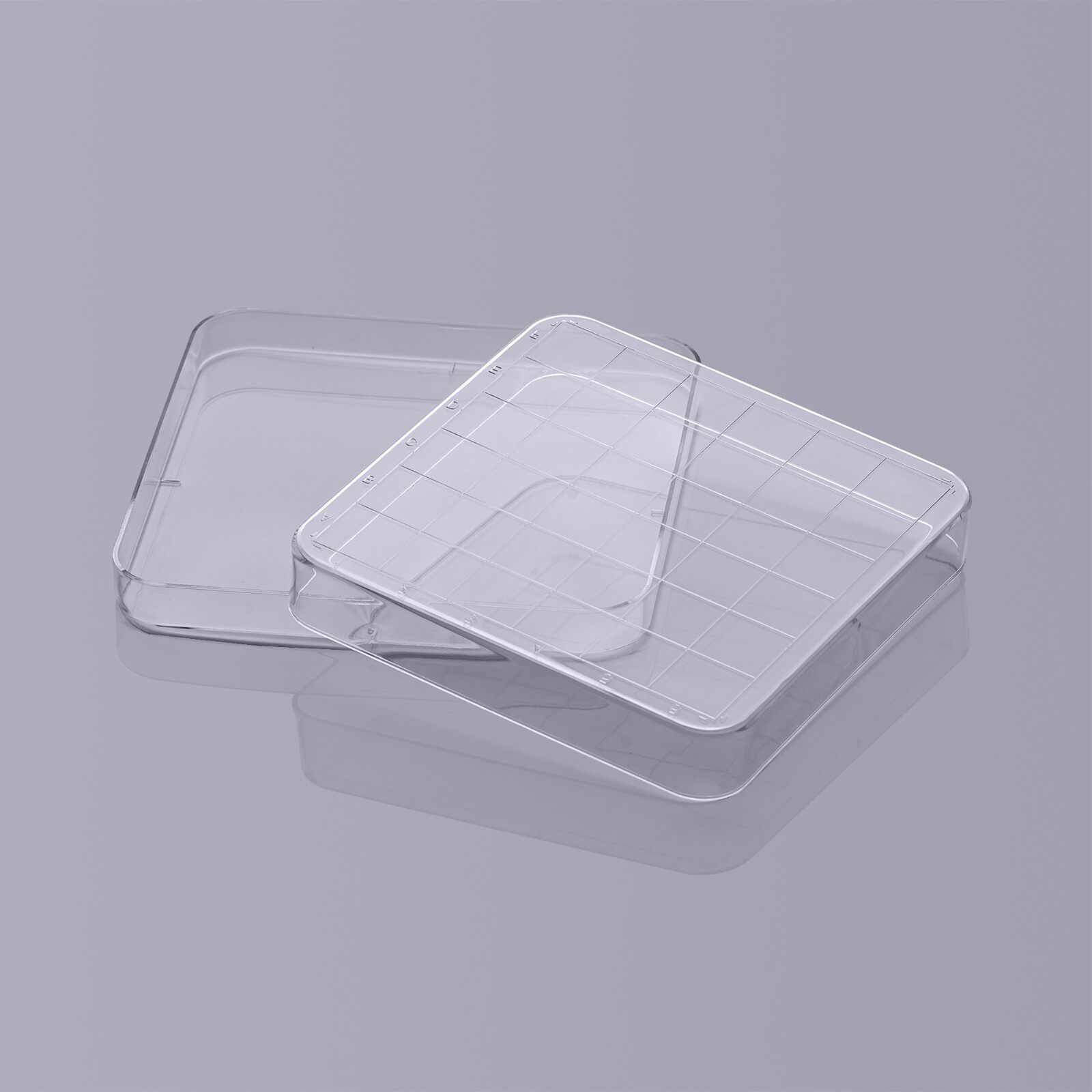 白鲨  BS-100/130-SD 10*10/13*13 一次性塑料培养方皿30g/48g