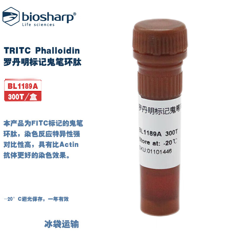 白鲨 BL1189A TRITC Phalloidin 罗丹明标记鬼笔环肽 300T/盒