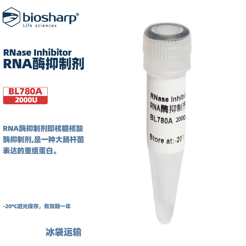 白鲨 BL780A BL780B RNA酶抑制剂 2000U/支 1支 10000U/支 1支