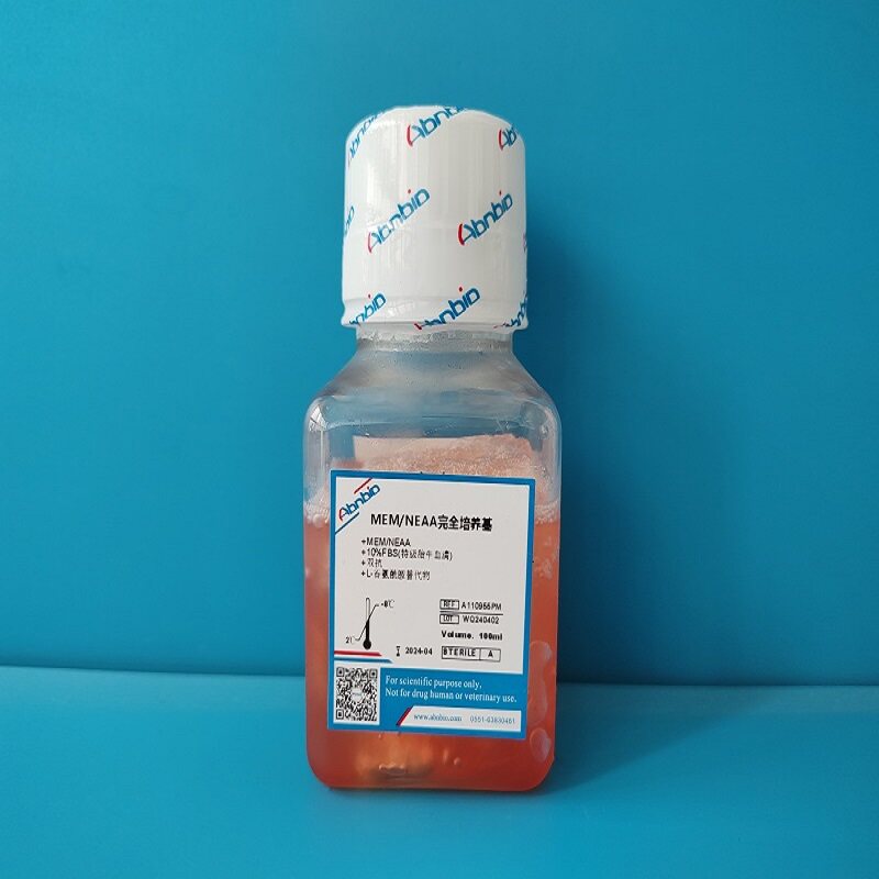 Abnbio MEM/NEAA完全培养基 A110955PM 含10%FBS胎牛血清 双抗