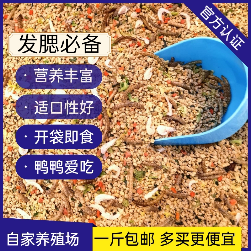 Premium Cole Duck Food, Popular Pet Duck Feed, Adult Duck Feed, Popular Duckling Food, Special Food for Cole Ducks