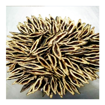 Special products Xiangtan fresh tobacco fruit bulk xylitol nut 500g original pure hand-made mellow betel nut