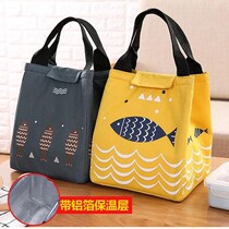 Lunch box bag portable lunch good-looking lady carrying simple small things bag lunch bag portable lunch bag