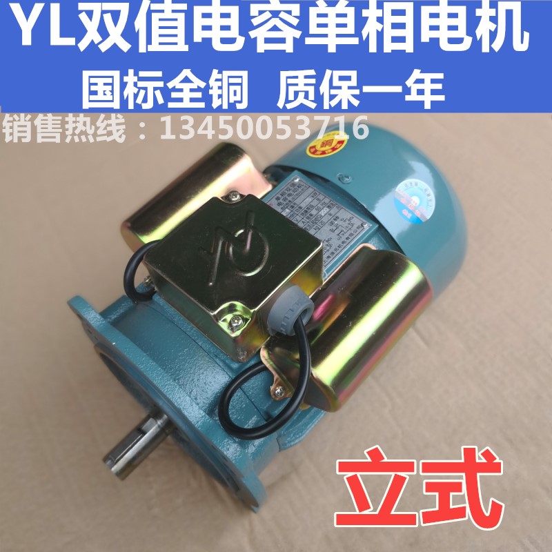YL double-valued capacitive asynchronous motor single-phase 220V vertical national standard all-copper wire motor 750W1 5KW2 2KW 2KW