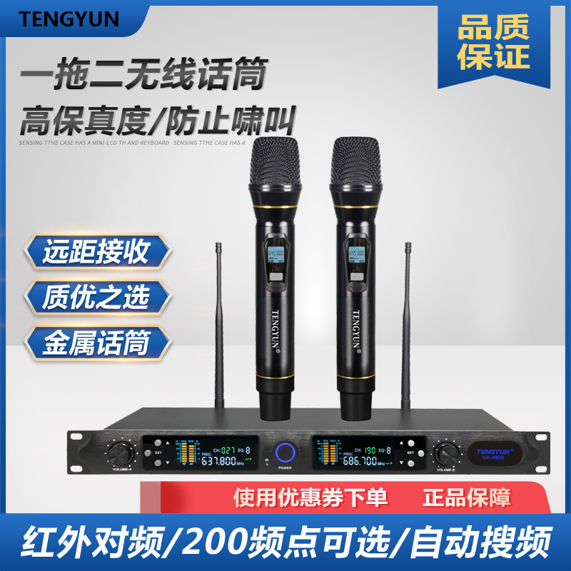 U segment anti-whistling one drag two FM wireless microphone stage performance home karaoke professional KTV microphone