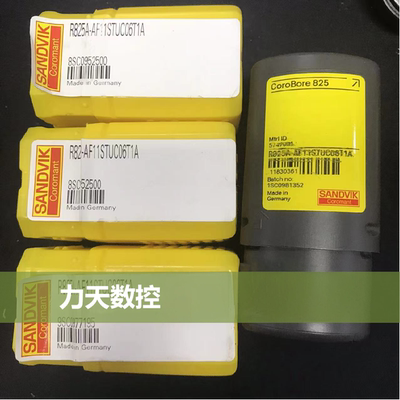 CNC Blade / R825A-AF11STUC06T1A / 131-2516-B