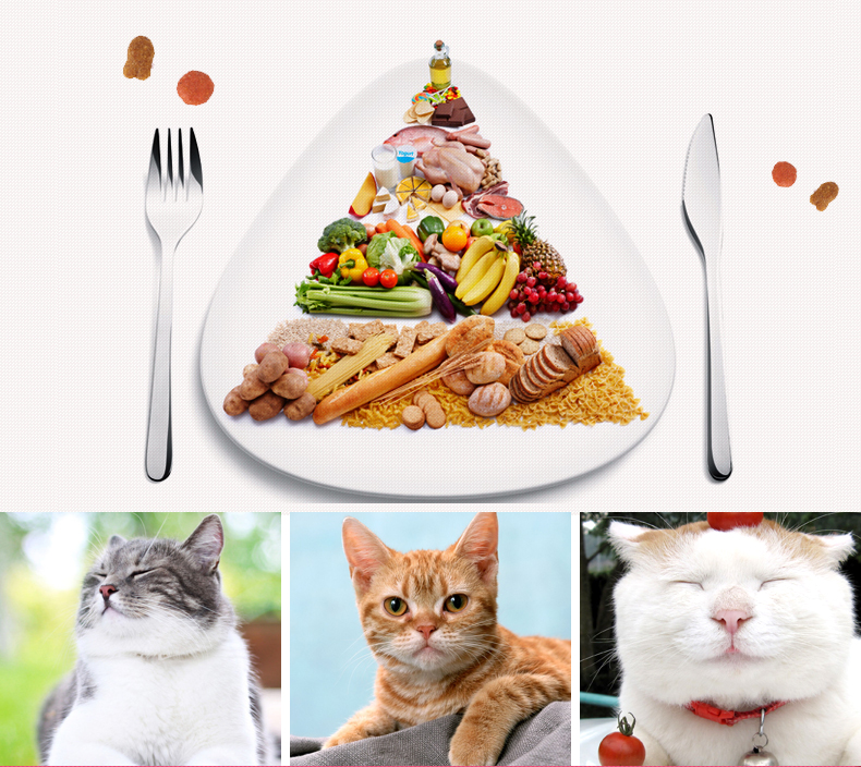 蓓 味佳 猫粮 成 猫 1,5kg * 7 袋 肥肥 发 腮 海鱼 味 猫粮 幼 猫 10 宠物 猫 - Cat Staples Các loại pate cho mèo