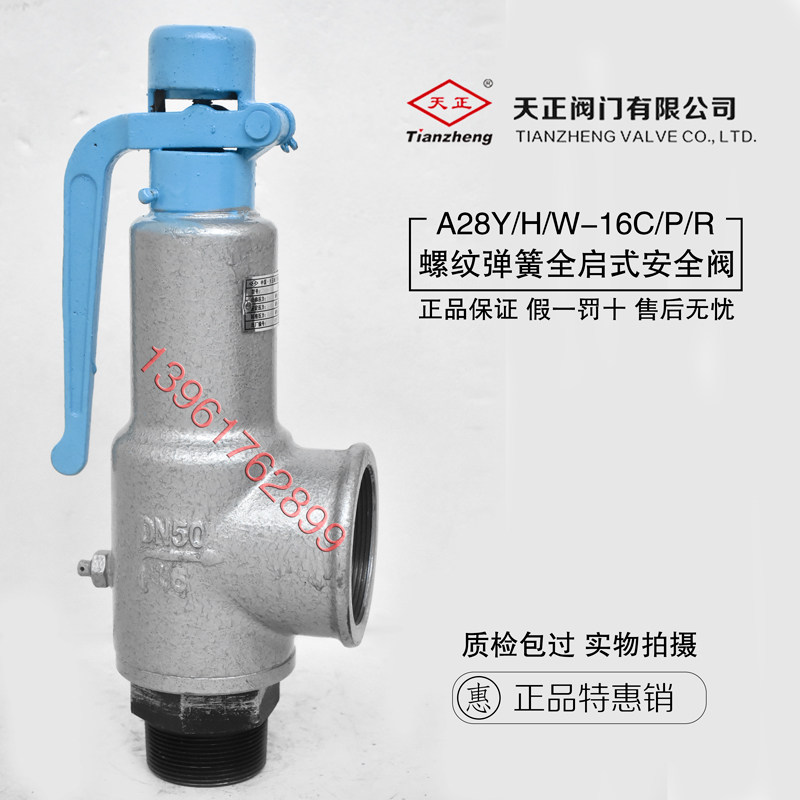 Tianzheng A28YW-16 25 40 64CP R Threaded Spring Full Open Safety Valve DN20 50