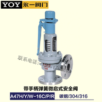YOY Yongyi A47H Y W-16 25 40 64 100C P R micro-opening safety valve DN50 with wrench